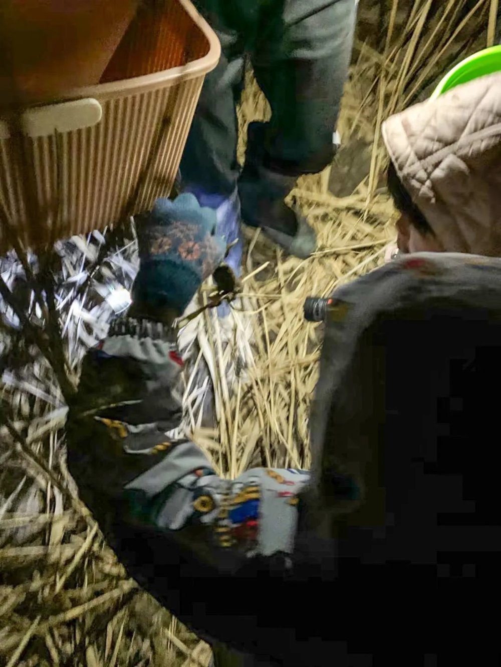 星歐平台注冊:東北人,有自己的海鮮盛宴